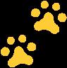 paw prints